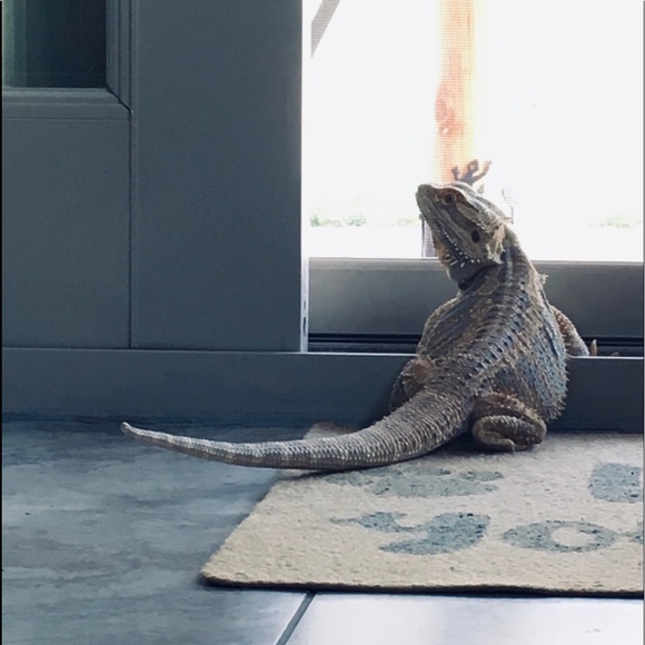 Meet your Posher, Marian - Picture 2 of 8